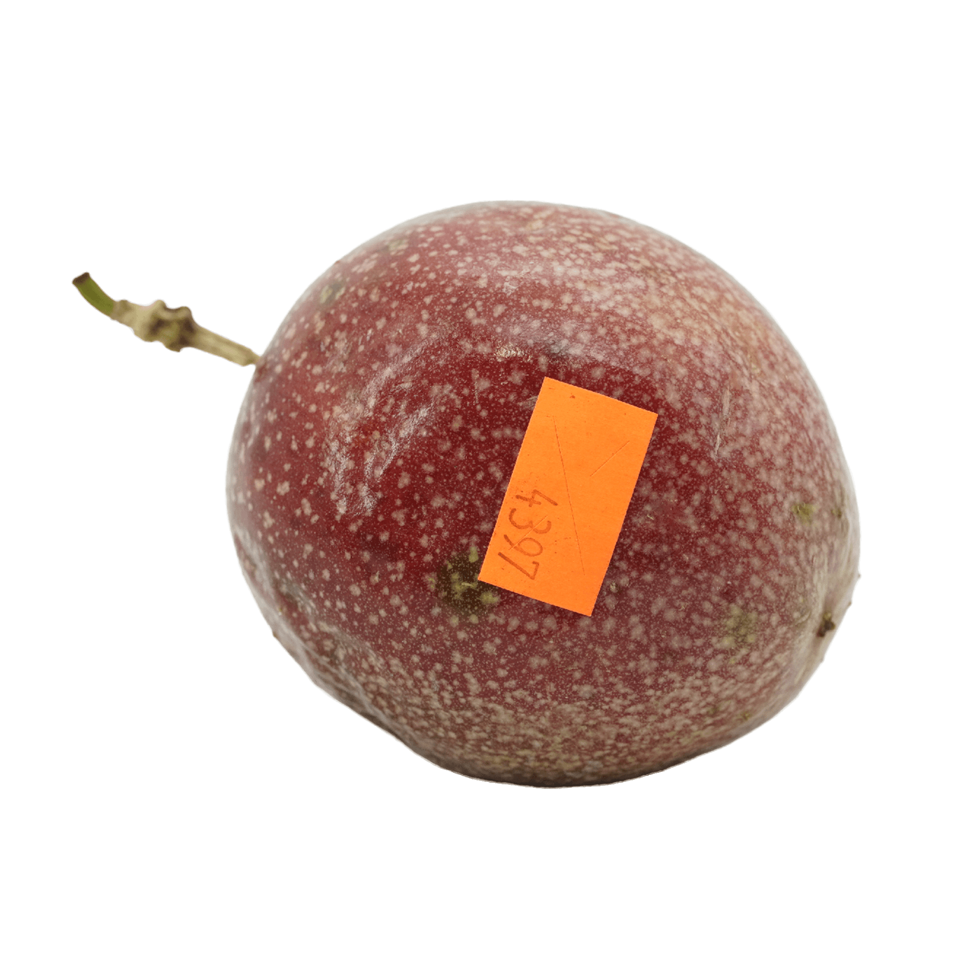Passion Fruit