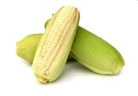 Fresh Corn