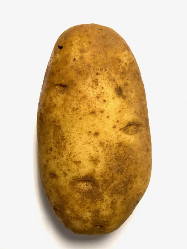 Idaho Potato