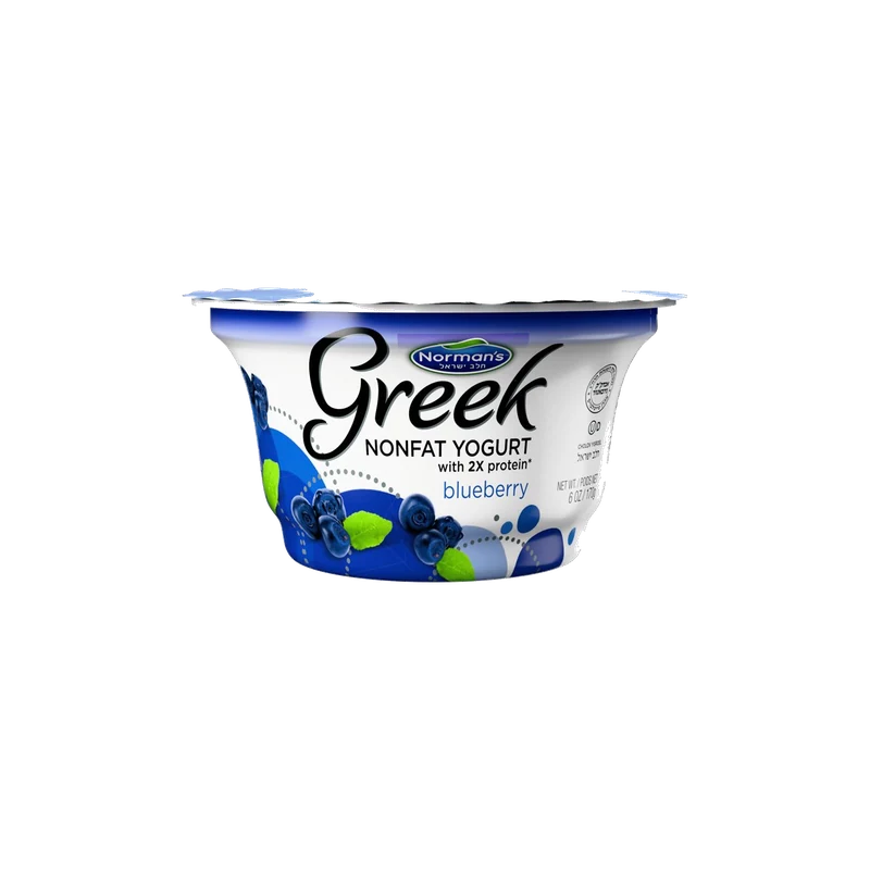 Greek Yogurt Blueberry