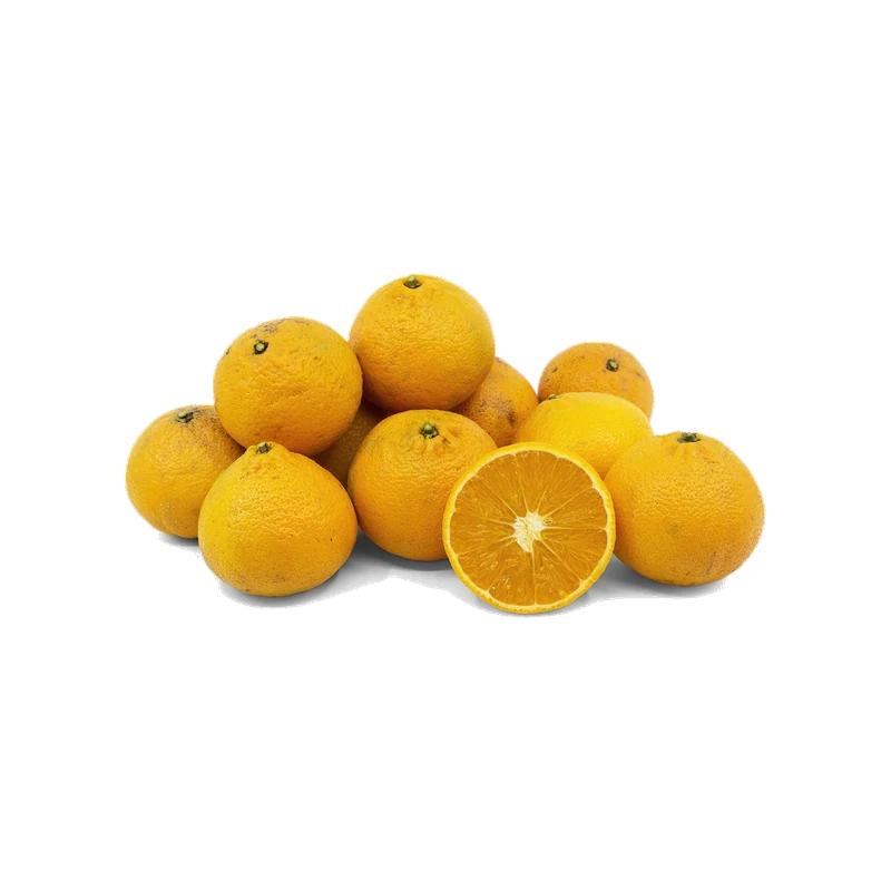 Temple Orange