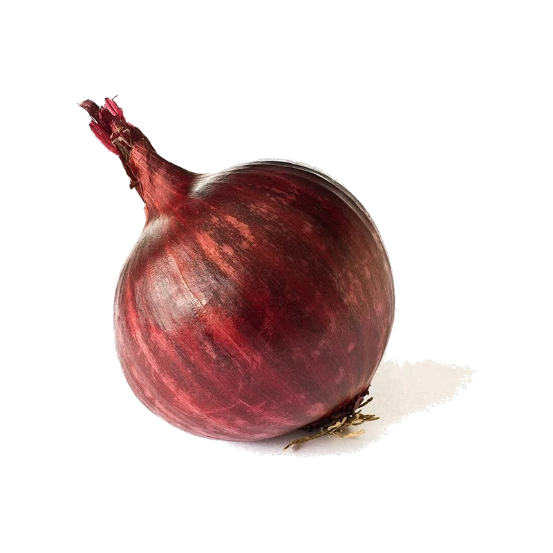 Onion Red