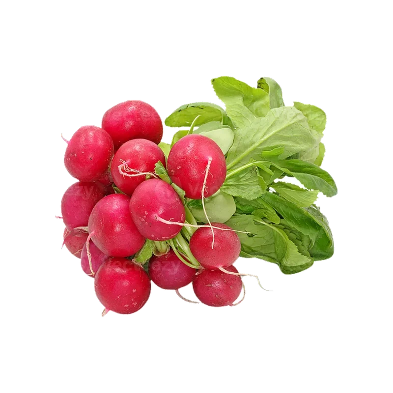 Radish Bunch