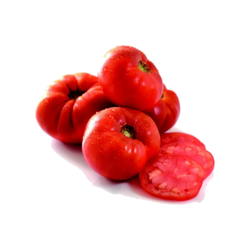 5x6 Tomato