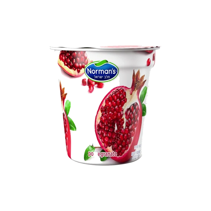 Low-Fat Yogurt Pomegranate