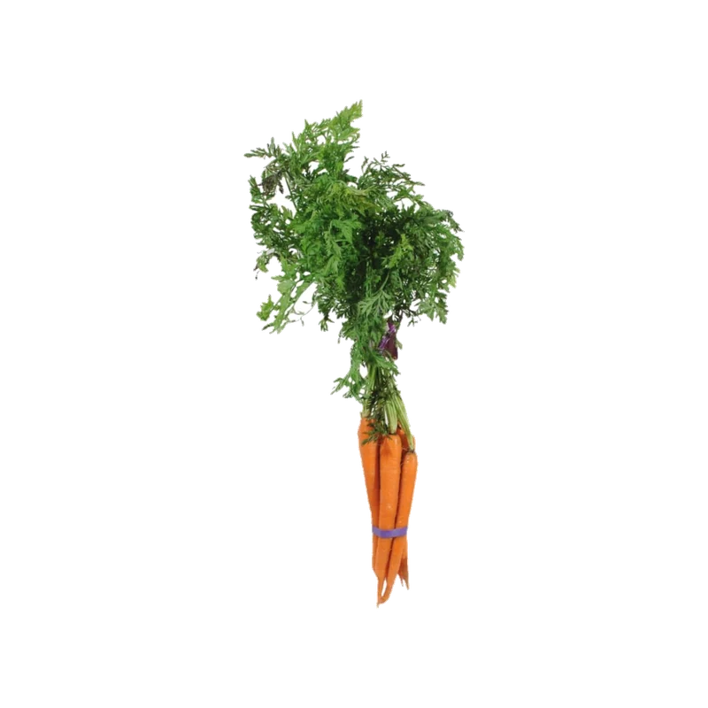 Carrots Bunch