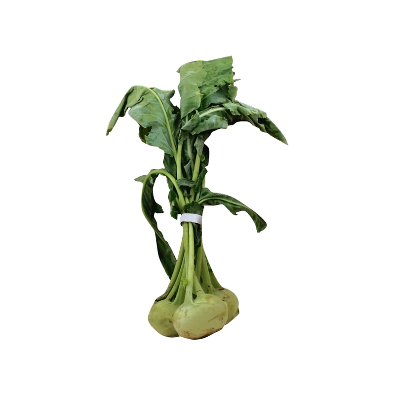 Kohlrabi