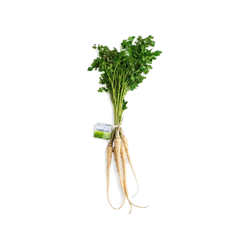 Parsley Root