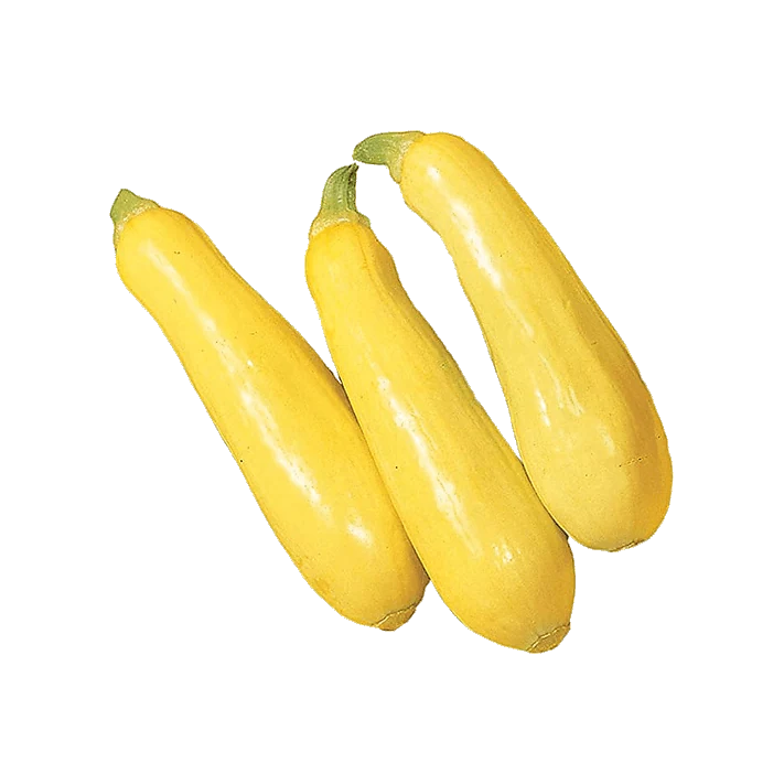 Yellow Squash Fancy