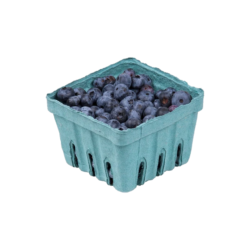 Blueberries Jumbo