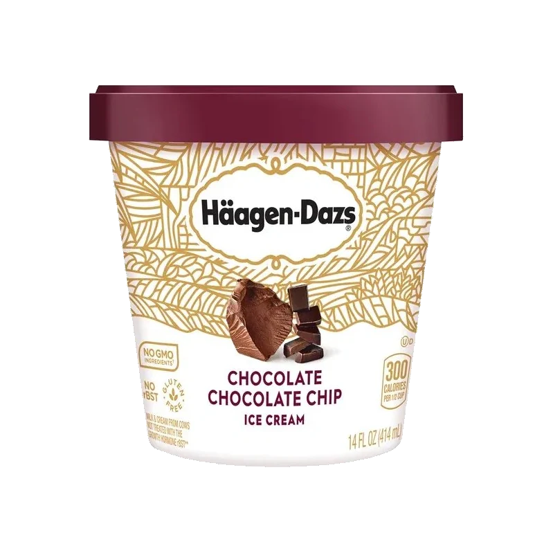 Chocolate Chocolate Chip