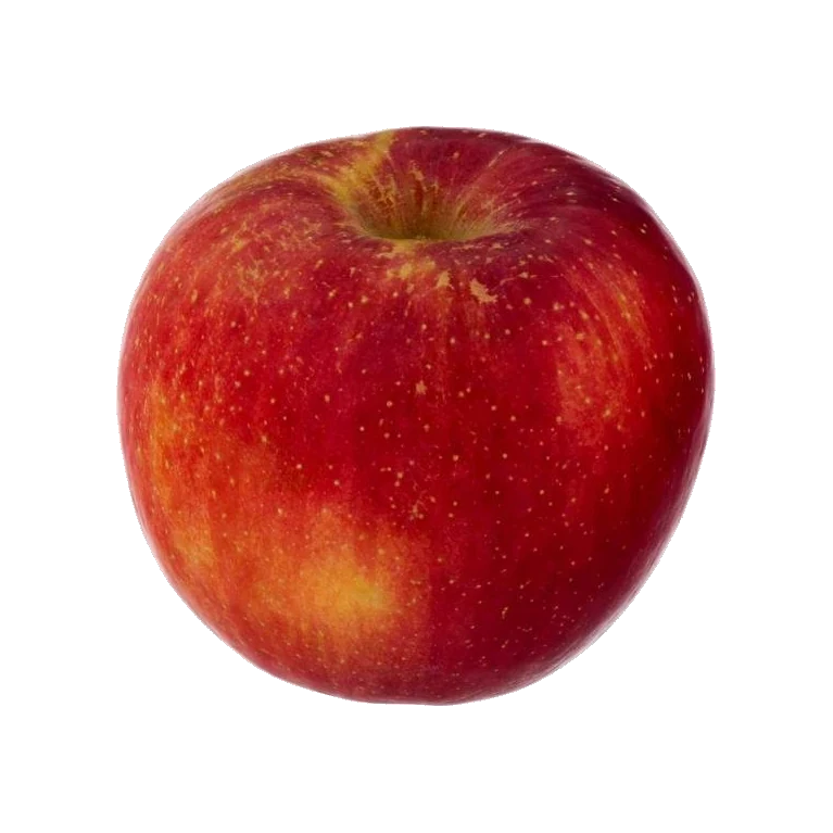 Rome Apple