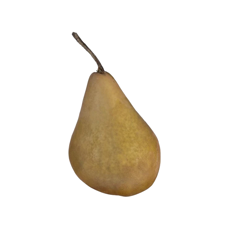 Bosc Pear