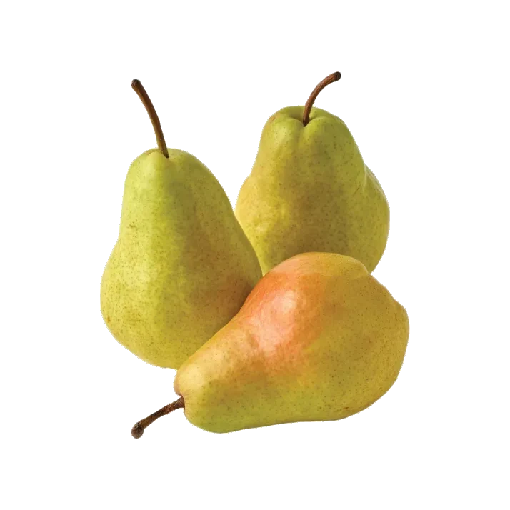Pear Bartlet