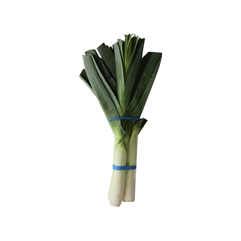 Leek
