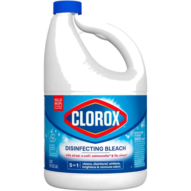 Clorox Bleach Regular