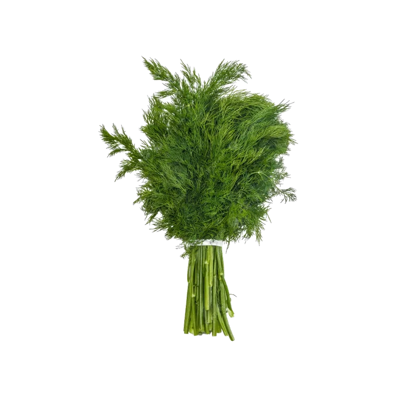 Dill