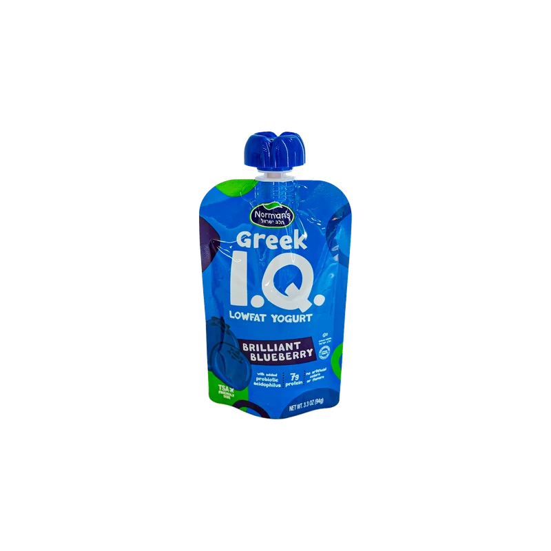 Greek Blueberry Yogurt Pouch