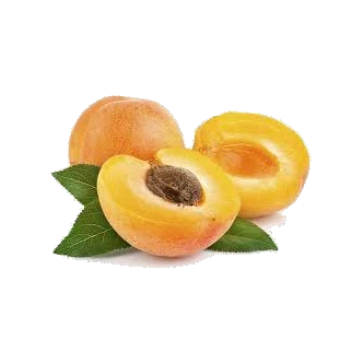 Fresh Apricots