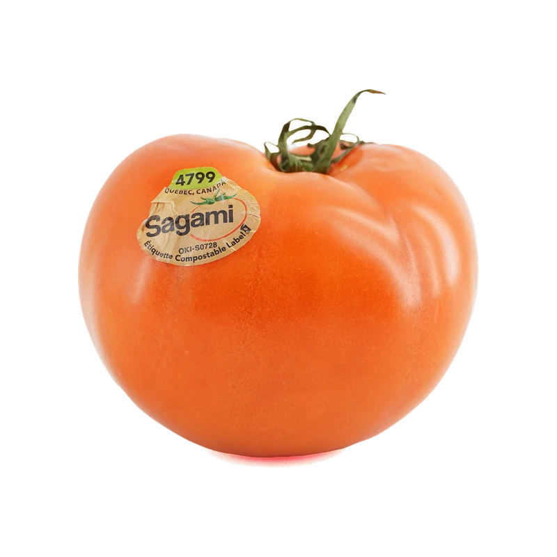 Beefsteak Tomato