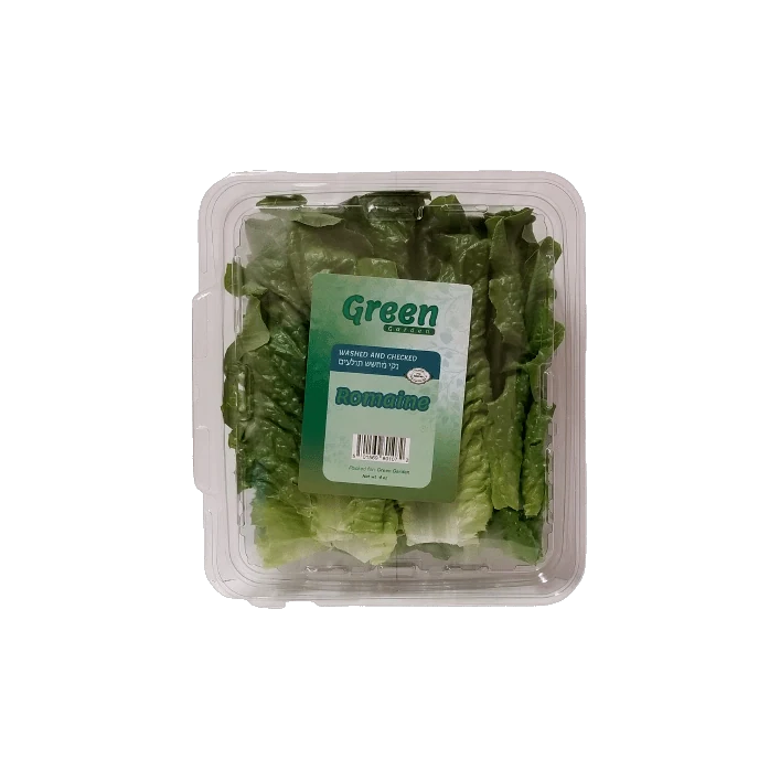 Romaine Lettuce