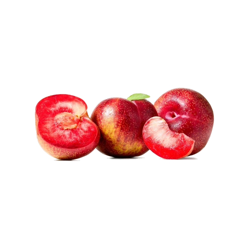 Plum Red President
