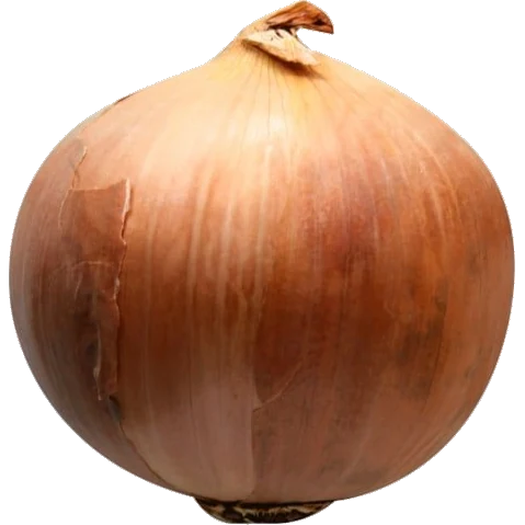 Onions 10 Lb Bag