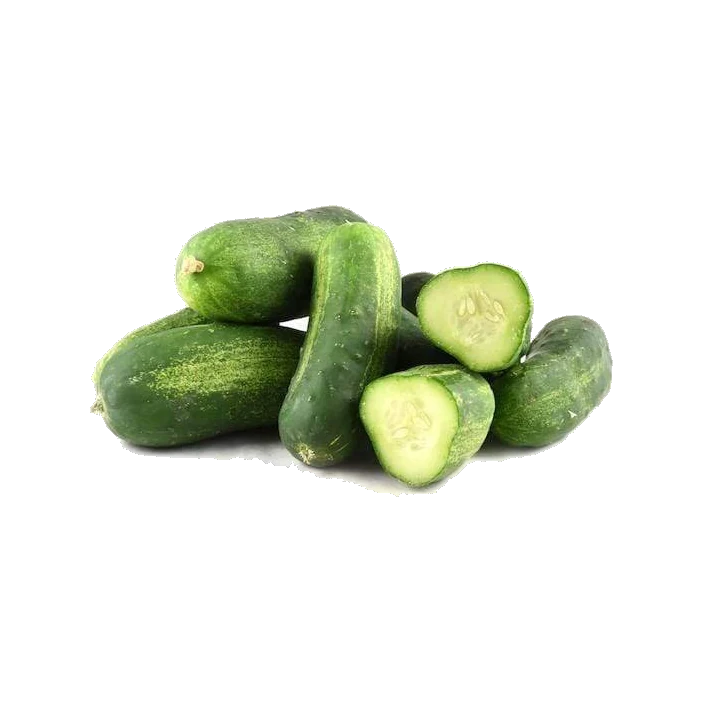 Dill Gehrkins