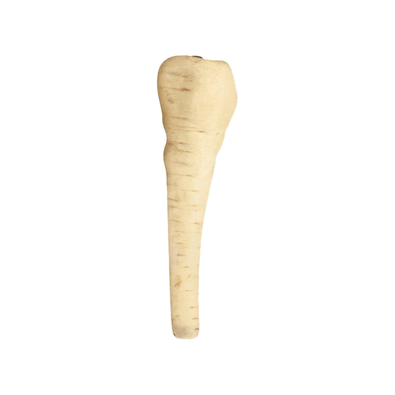 Parsnip