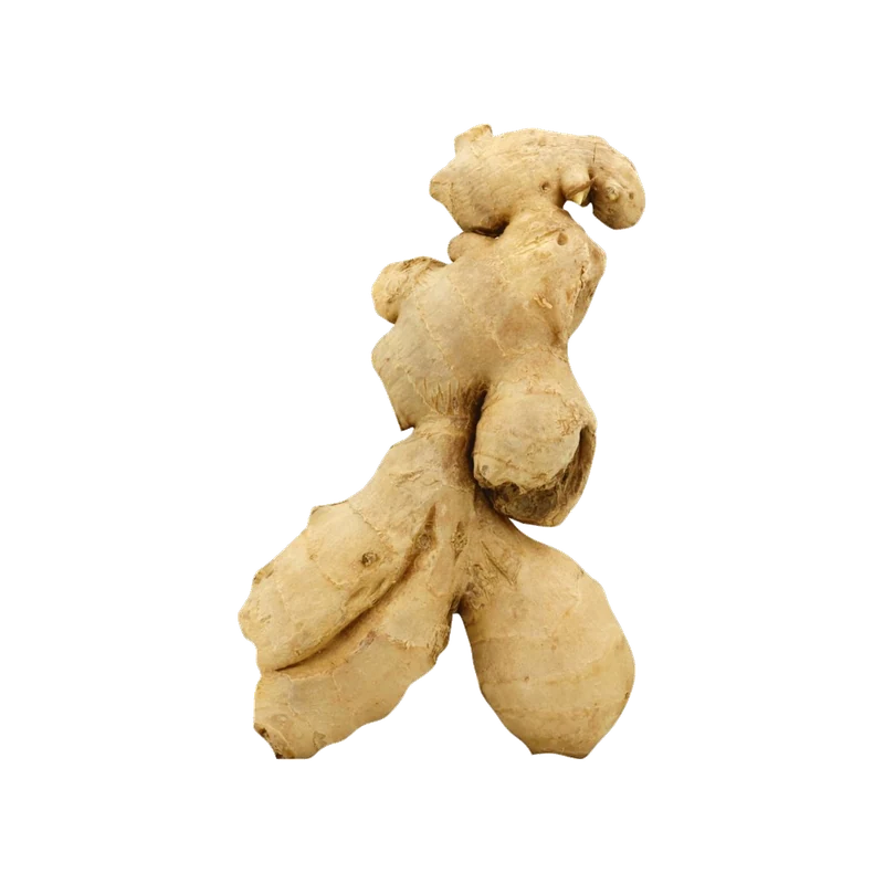 Ginger