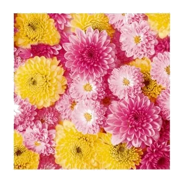 Napkins Flower #32
