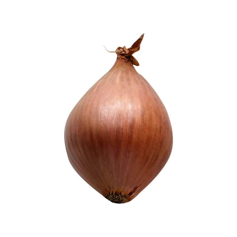 Shallots