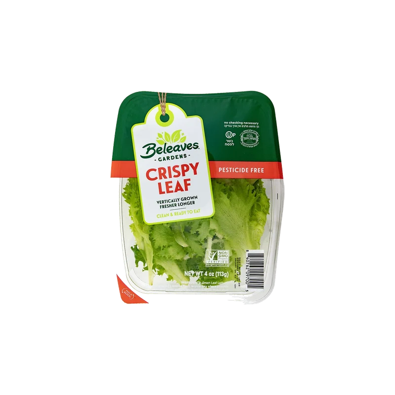 Green Leaf Lettuce