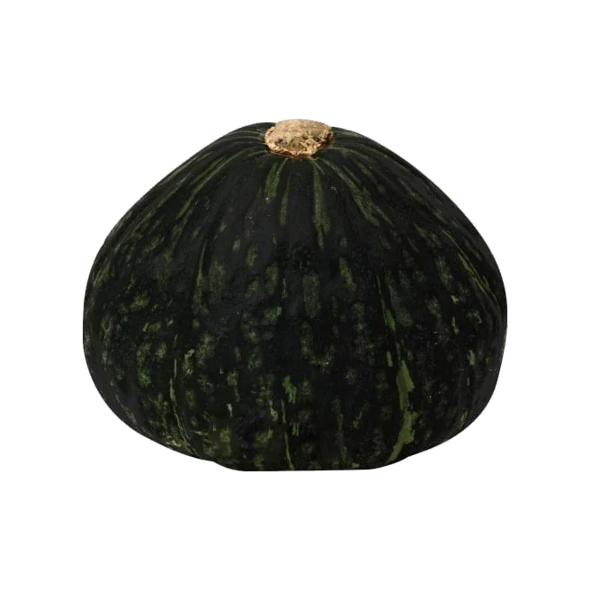 Kabocha Squash