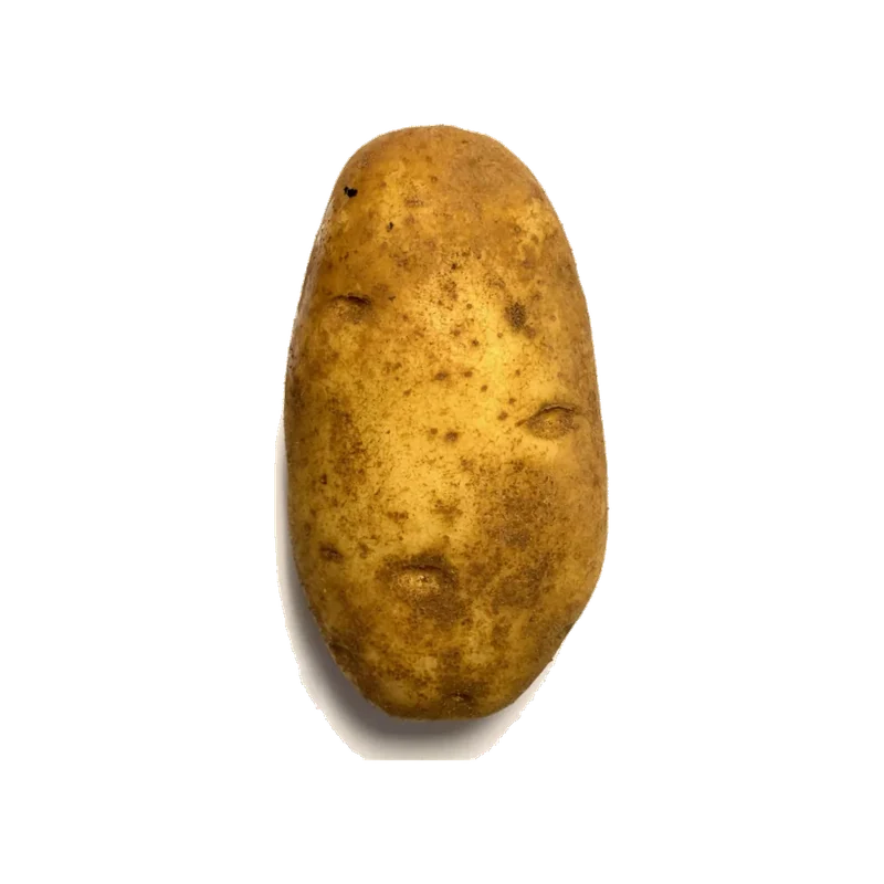 Idaho Potato