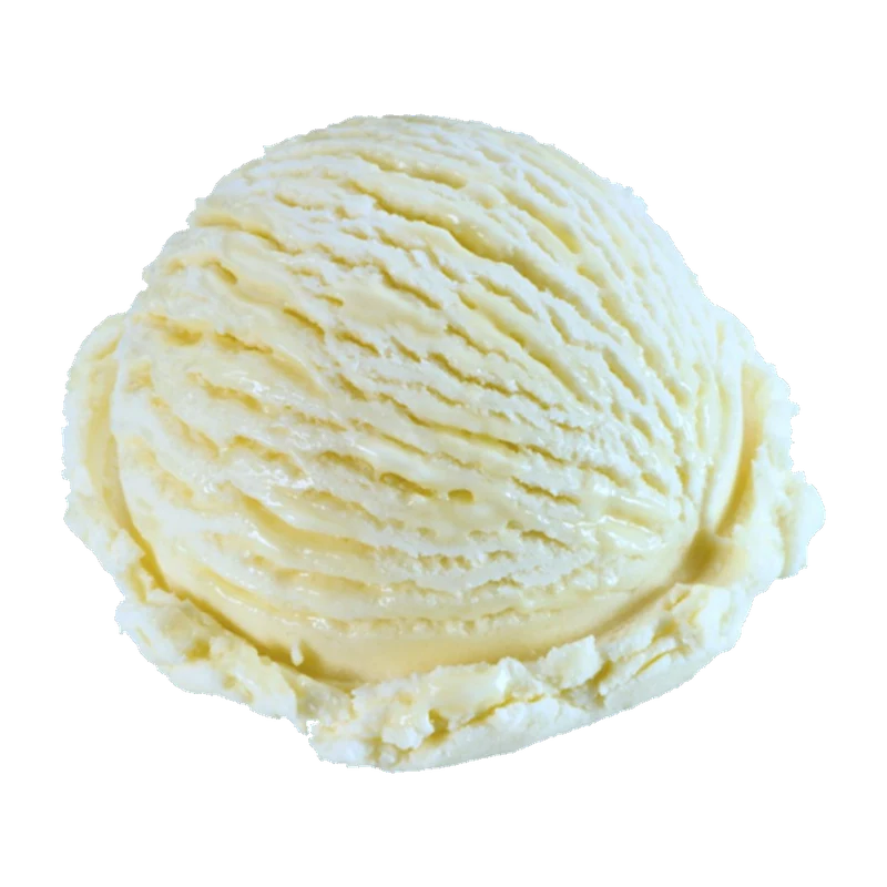 Parve Vanilla Ice Cream