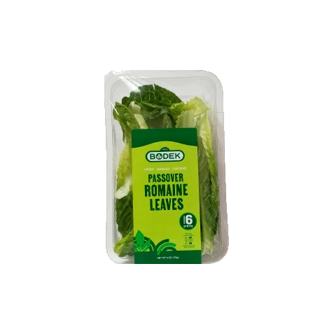 Romaine Leaves Seder