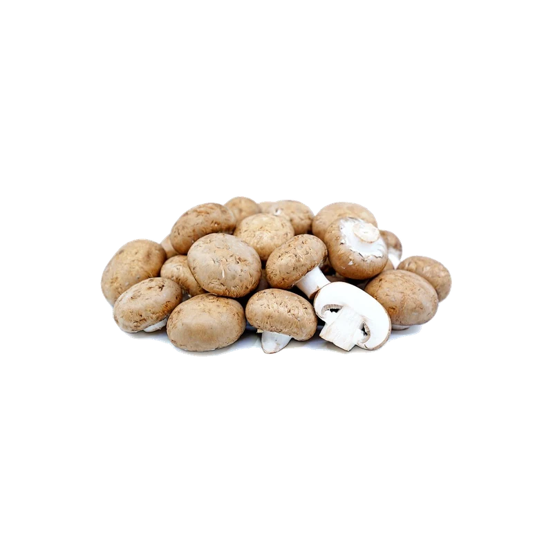 Baby Bella Shrooms