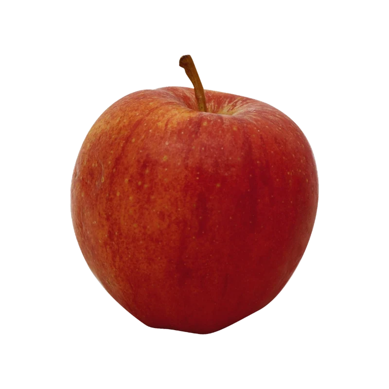Gala Apple