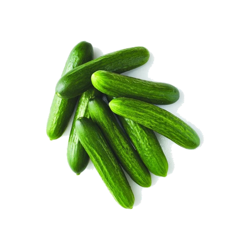 Mini Cucumbers