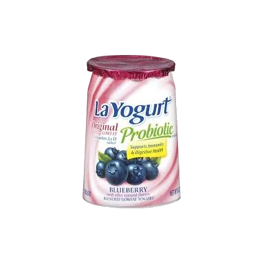 Blueberry Yogurt