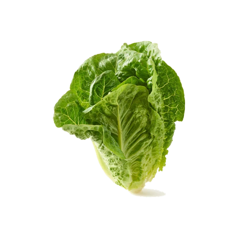 Romaine Whole Leaves