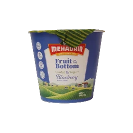 Blueberry Yogurt
