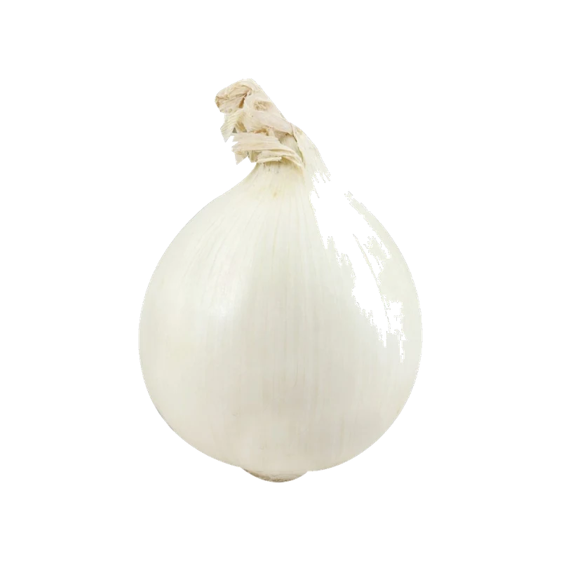 Onion White