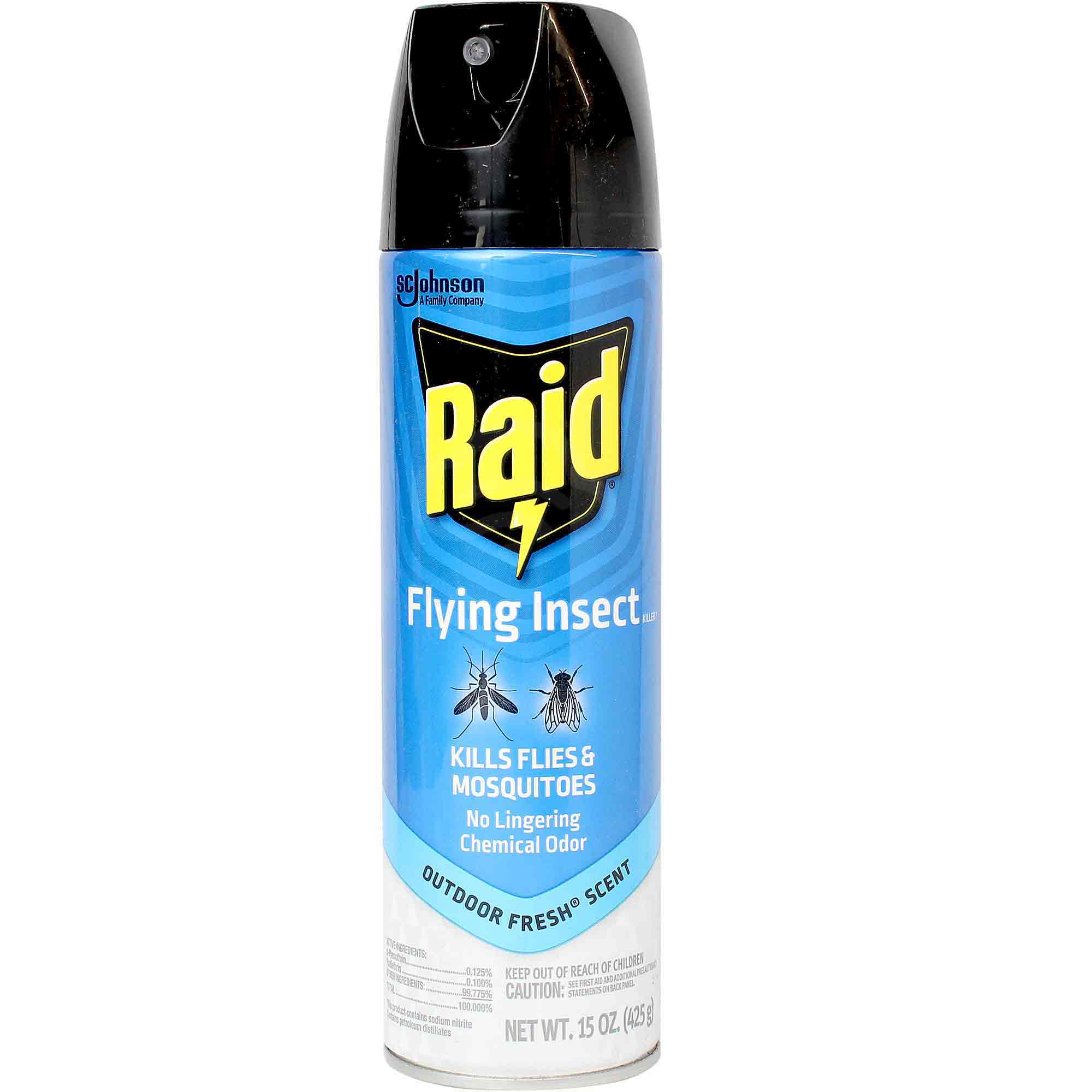 Raid Flying Insect