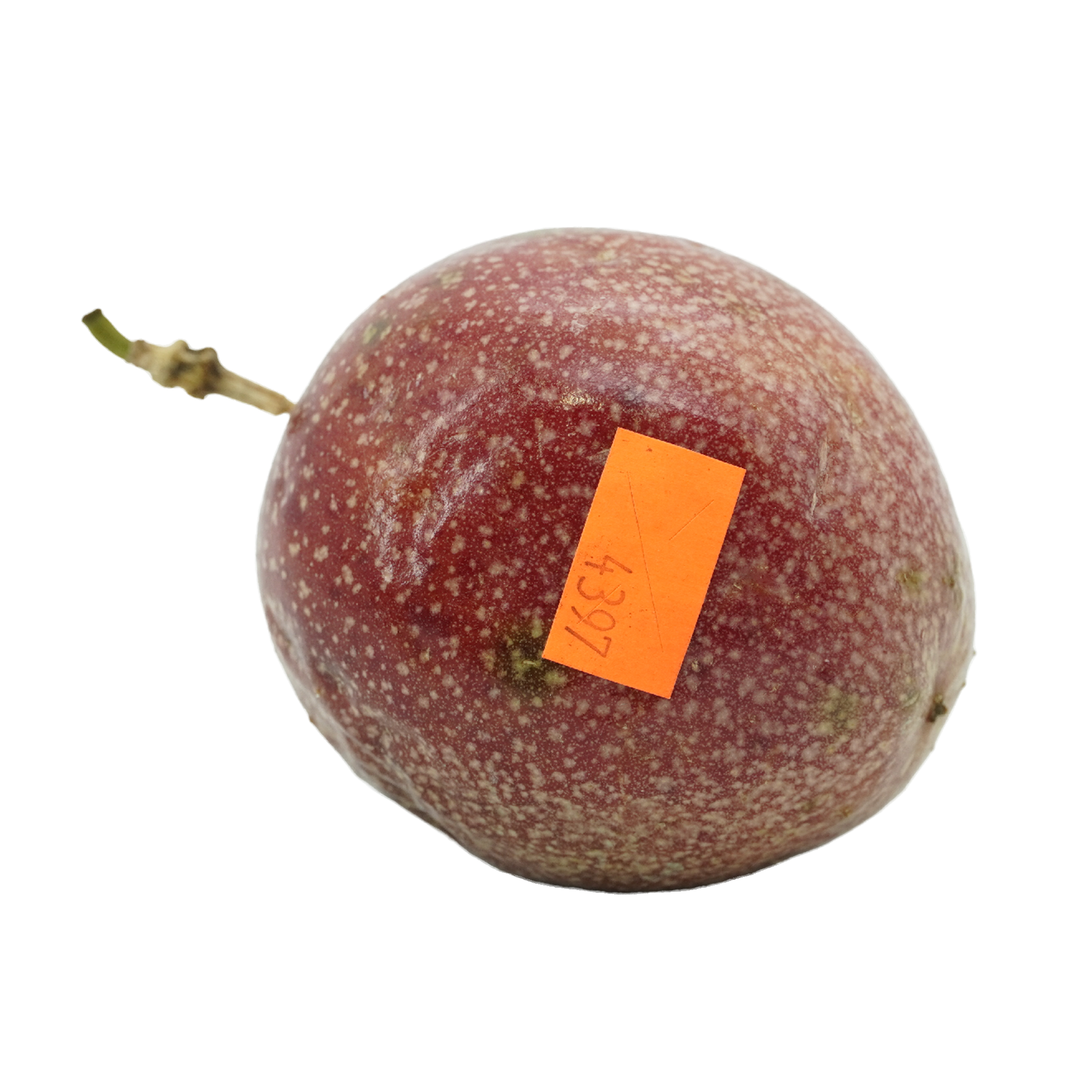Passion Fruit