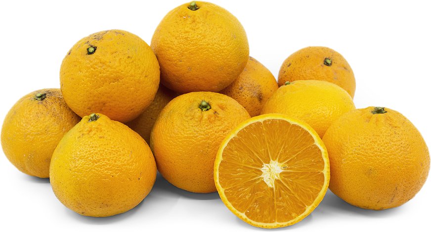 Temple Orange