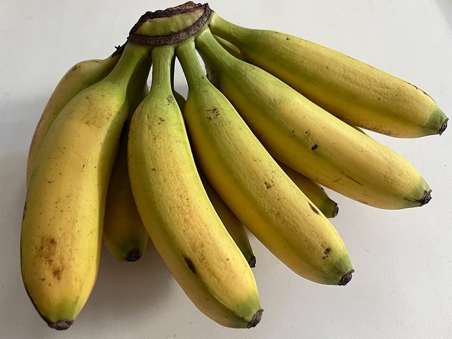 Baby Bananas