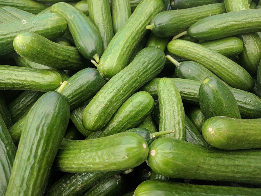 Persian Cucumbers
