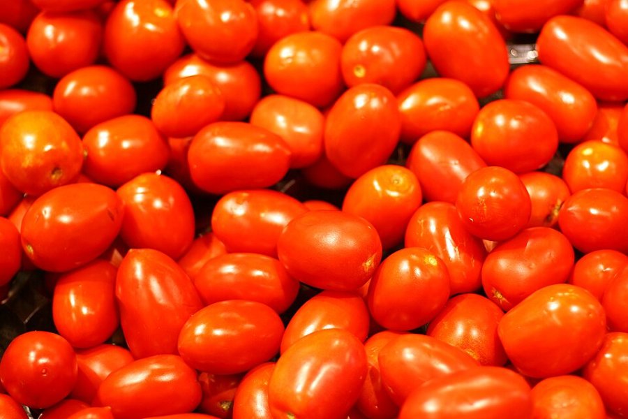 Plum Tomato Small